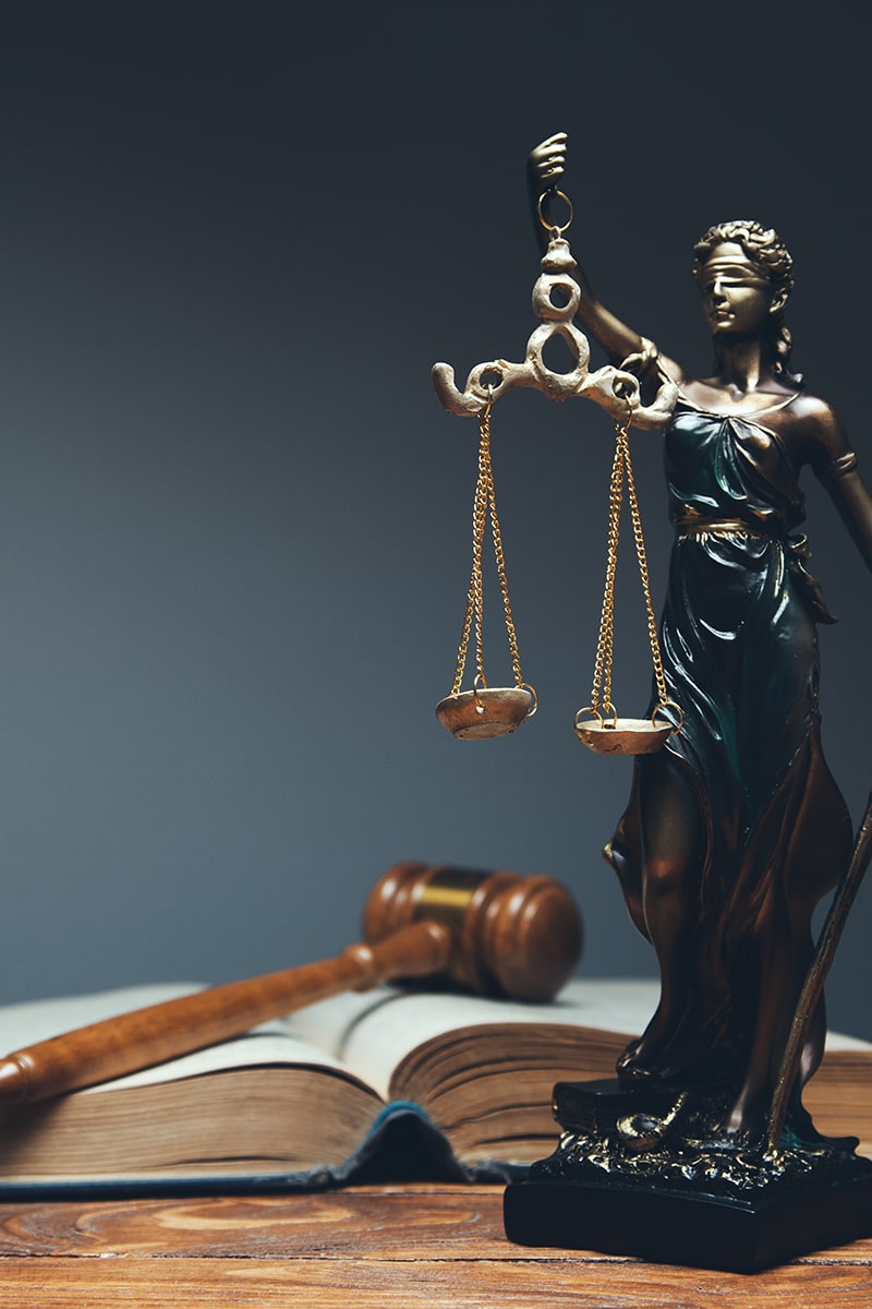 Avocat Maître Adrien Thiebaud - Services - Droit Pénal Avocat Maître Adrien Thiebaud - Services - Droit Pénal